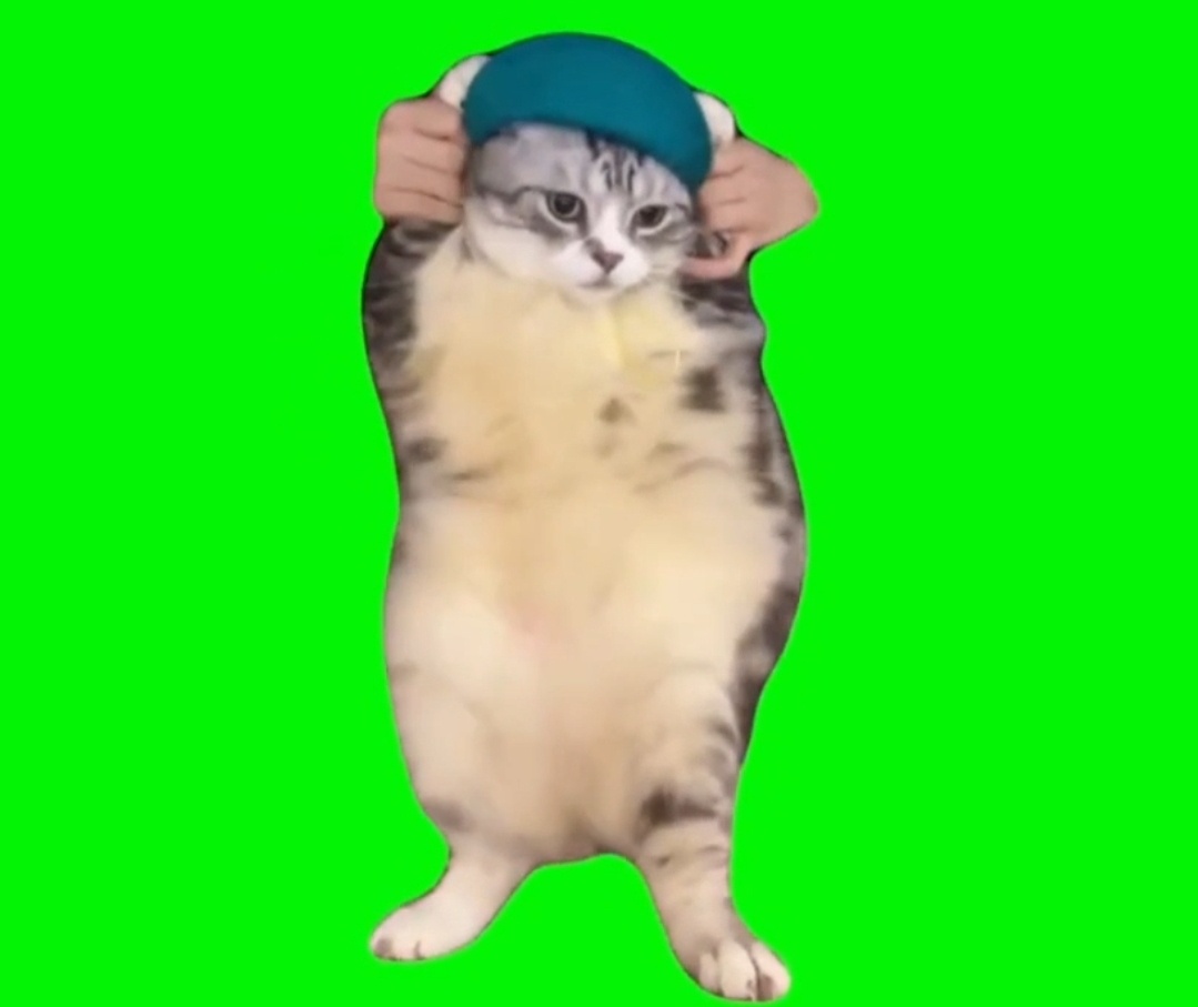 Sad cat dance meme but with green background.